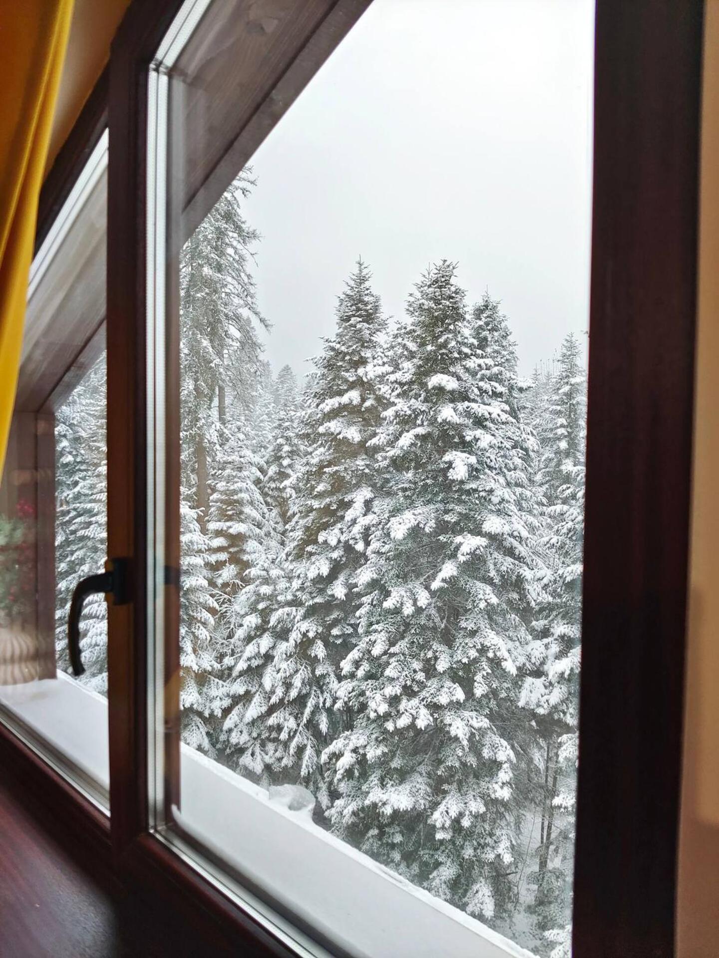 Borovets Dream Studio Esterno foto