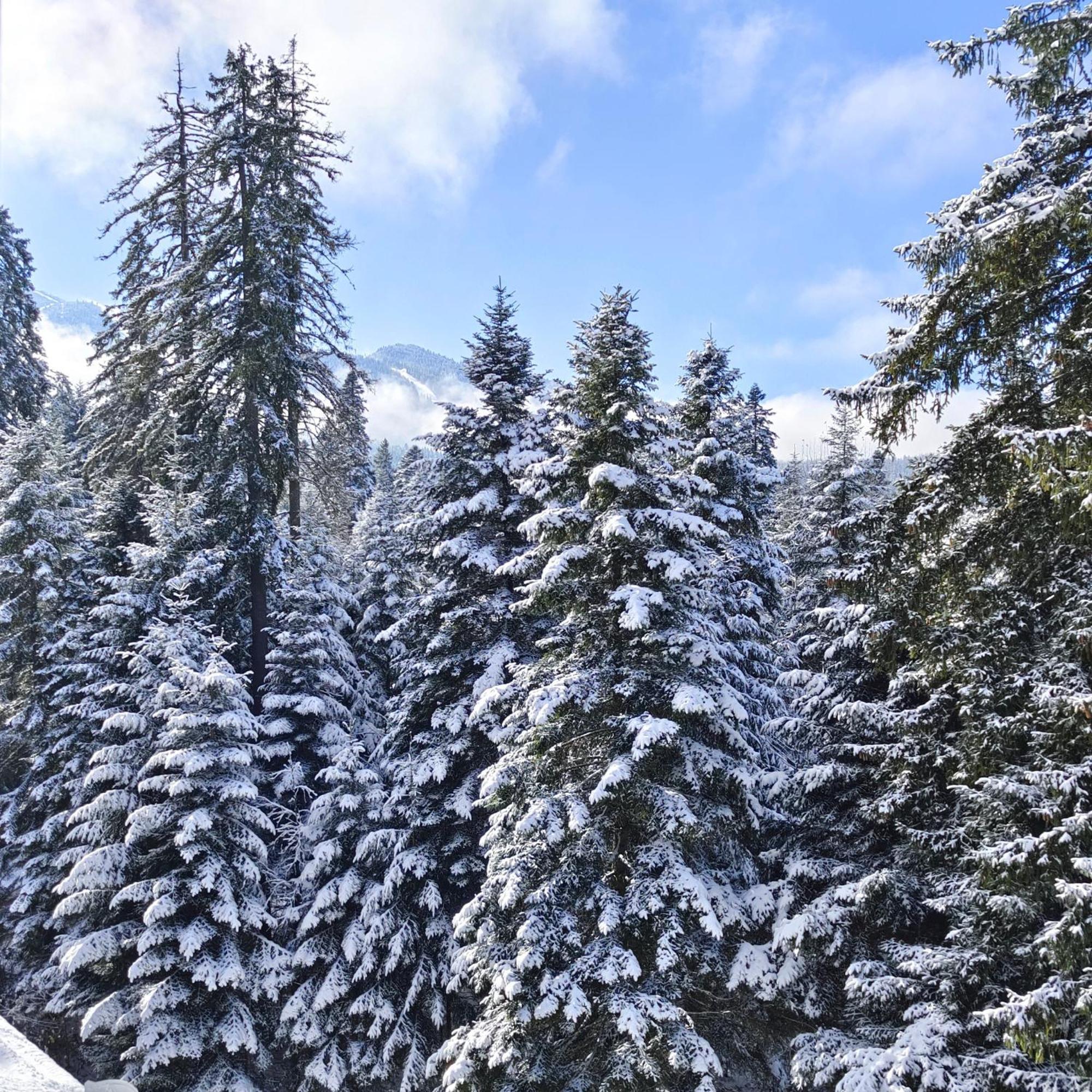 Borovets Dream Studio Esterno foto